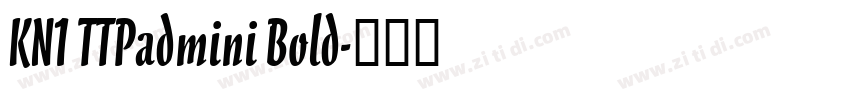 KN1 TTPadmini Bold字体转换